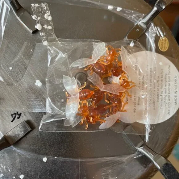 NWT Sundance 120/170 Hour Natural Beehive Candle - Picture 4 of 7